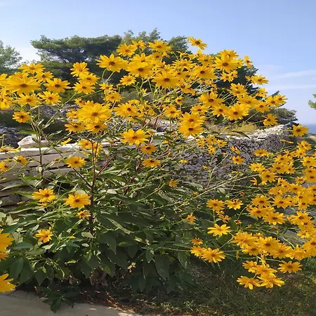 Luna - Two Bedroom With Sea View Ferienhaus Blato (Korcula)